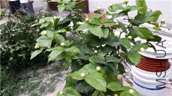 20140718_072047.jpg