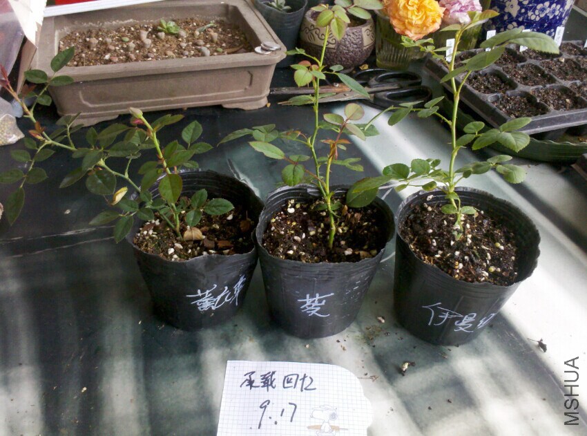 �����顢45һ��.jpg