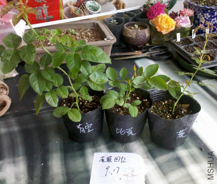 �����顢65һ��.jpg