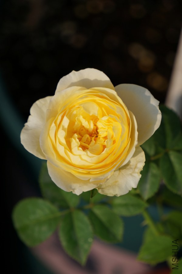 DSC07670.JPG