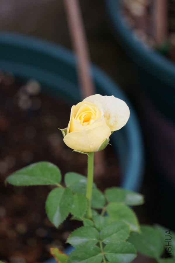 DSC07822.JPG