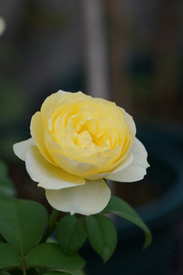 DSC07890.JPG