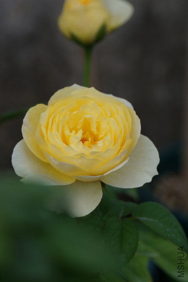 DSC07907.JPG