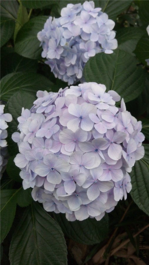 20140607140745.jpg