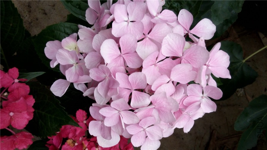 20140606080156.jpg