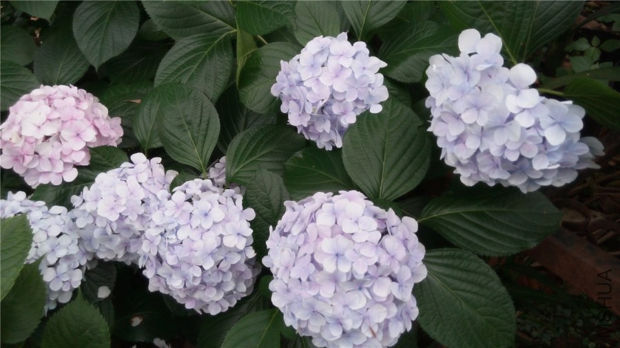 20140607140720.jpg