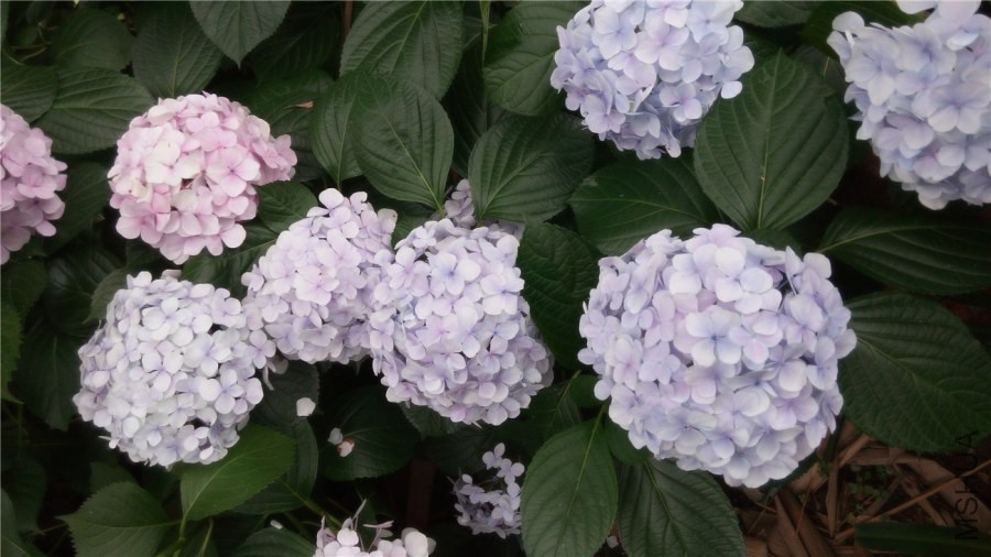 20140607140837.jpg