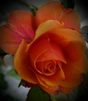 2014-09-16 14.51.36.jpg