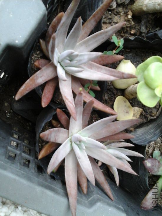 20140916_103746.jpg
