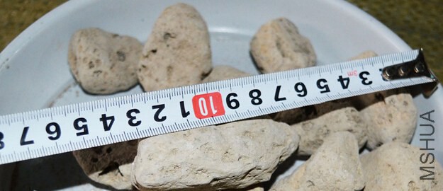 ��ʯ25-50MM.jpg