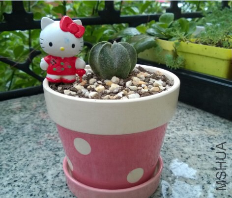 QQ��ͼ20140915105808.jpg