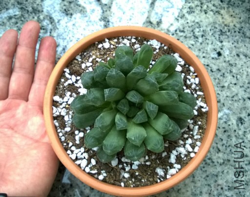 QQ��ͼ20140915105920.jpg