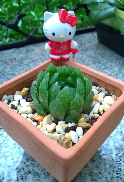 QQ��ͼ20140915110013.jpg
