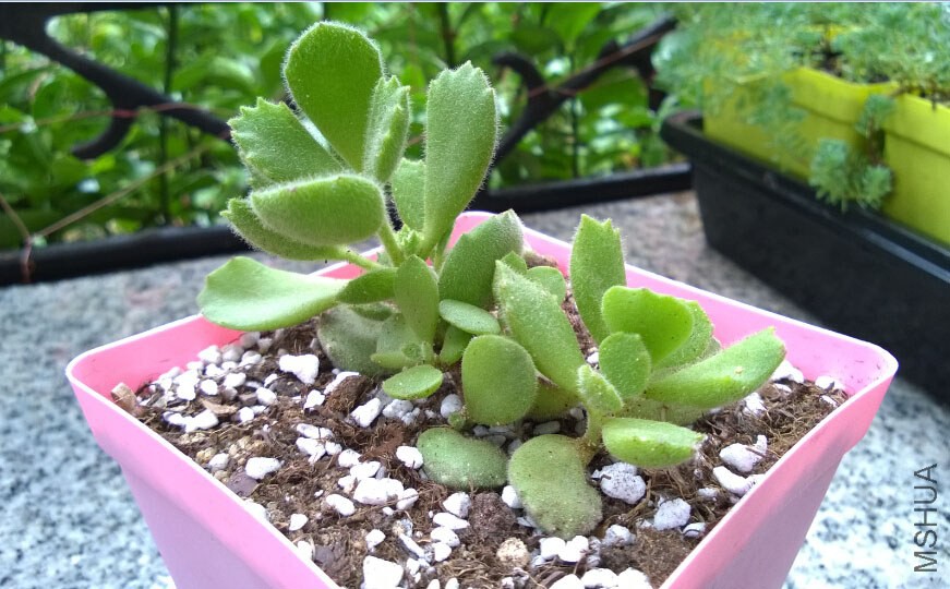 QQ��ͼ20140915110116.jpg
