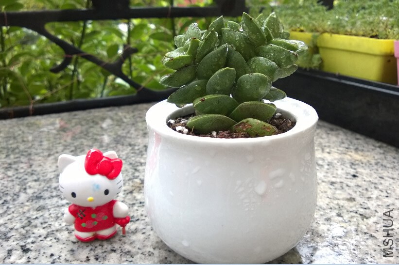 QQ��ͼ20140915110204.jpg