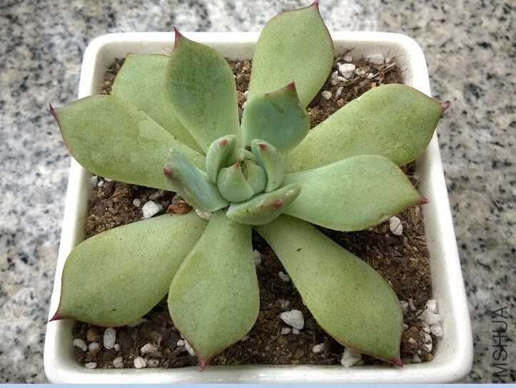 QQ��ͼ20140915110144.jpg