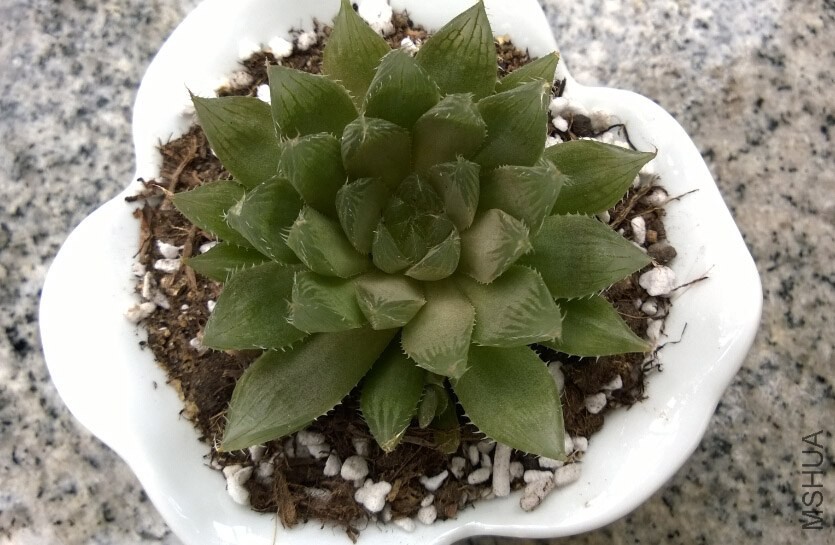 QQ��ͼ20140915110228.jpg