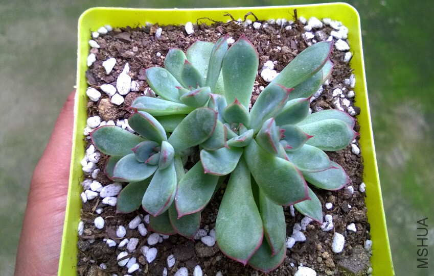 QQ��ͼ20140915110314.jpg