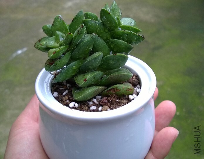 QQ��ͼ20140915110304.jpg