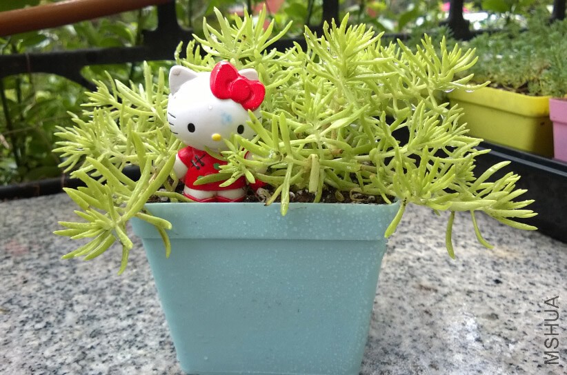QQ��ͼ20140915110336.jpg