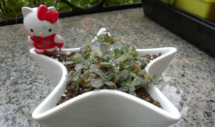 QQ��ͼ20140915110350.jpg