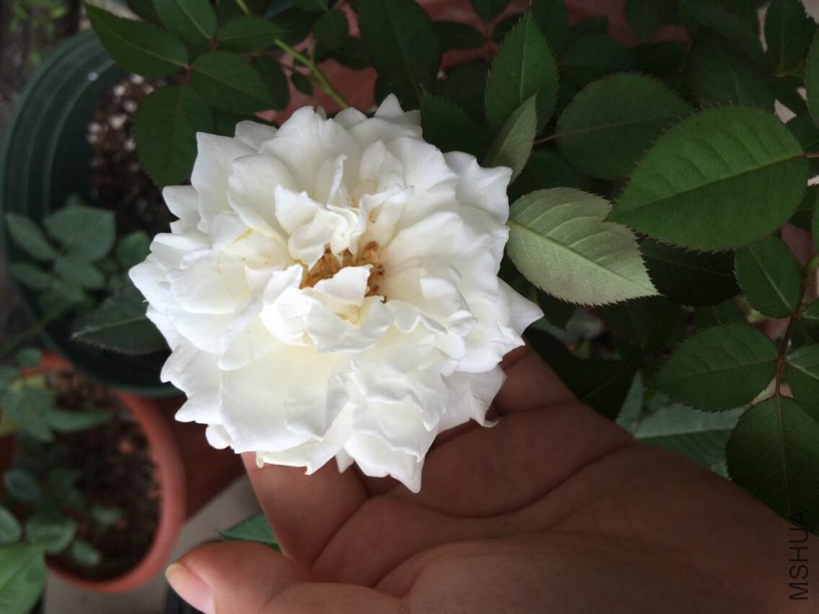 QQͼƬ20140916171335.jpg