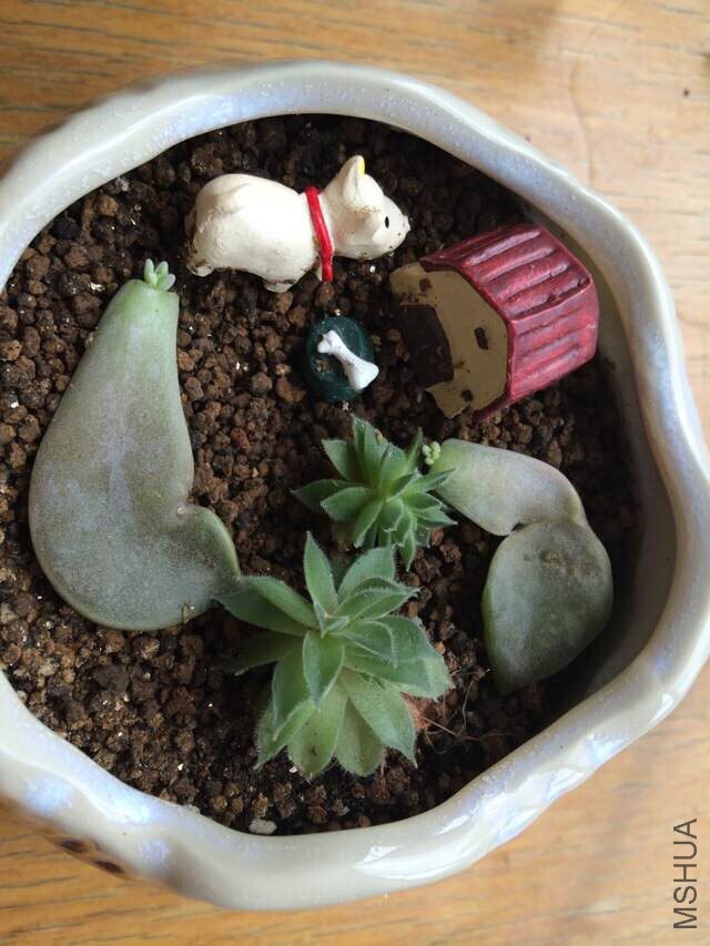 QQͼƬ20140916171347.jpg