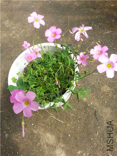 20140916_103140.jpg