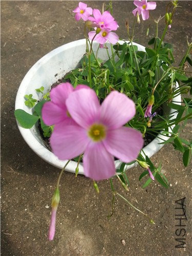 20140916_103146.jpg