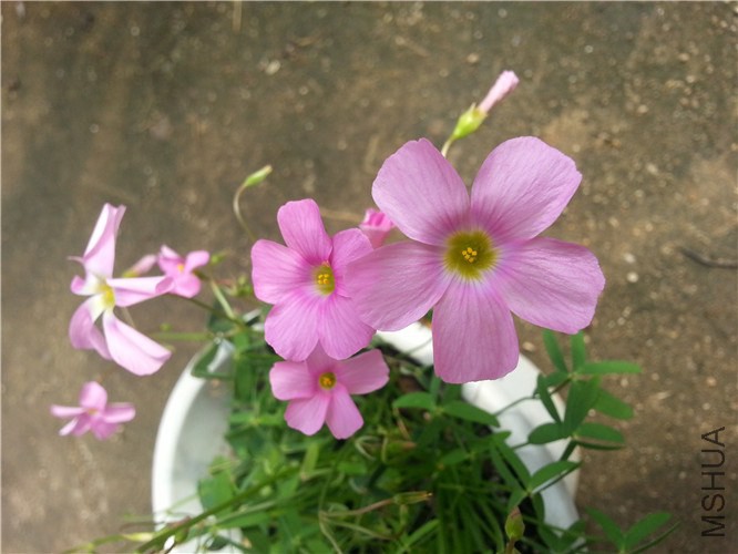 20140916_103149.jpg