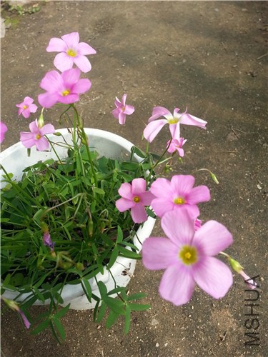 20140916_103152.jpg