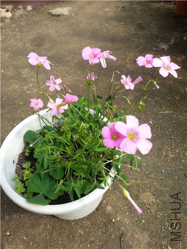 20140916_103208.jpg