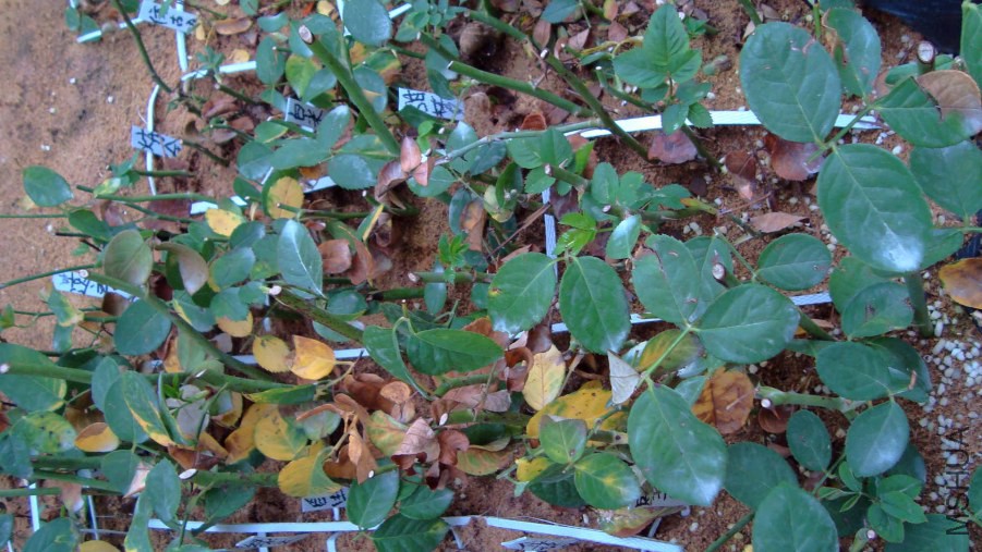 Ǥ��-09.12-4.JPG