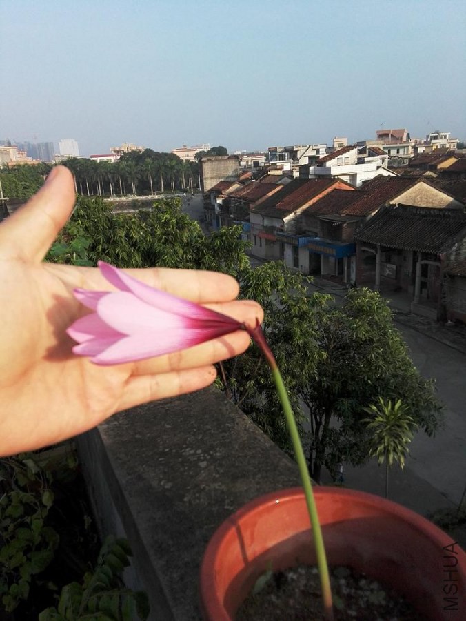 IMG_20140909_071054.jpg