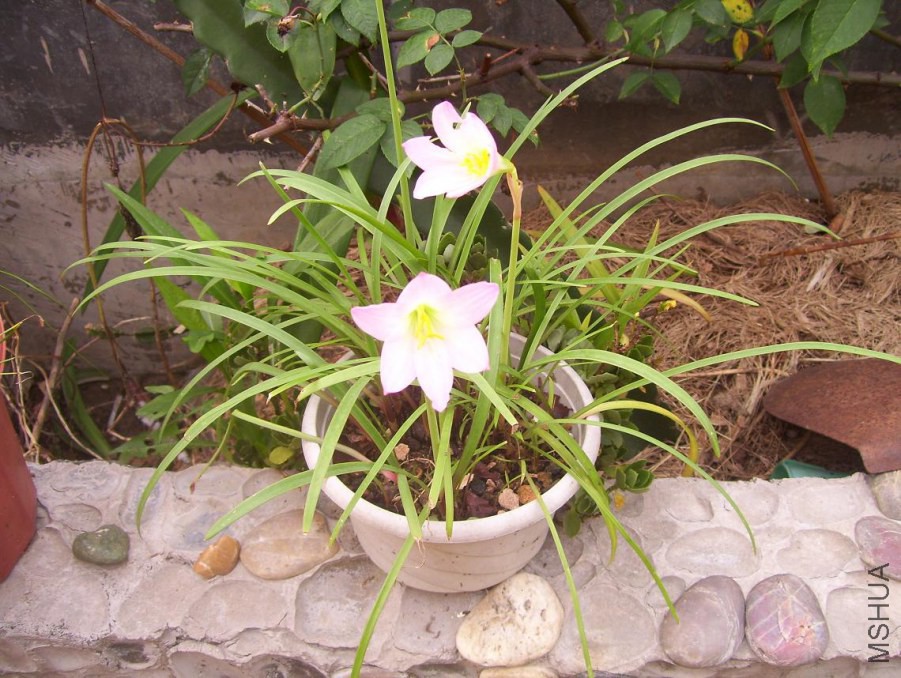 100_1261.JPG