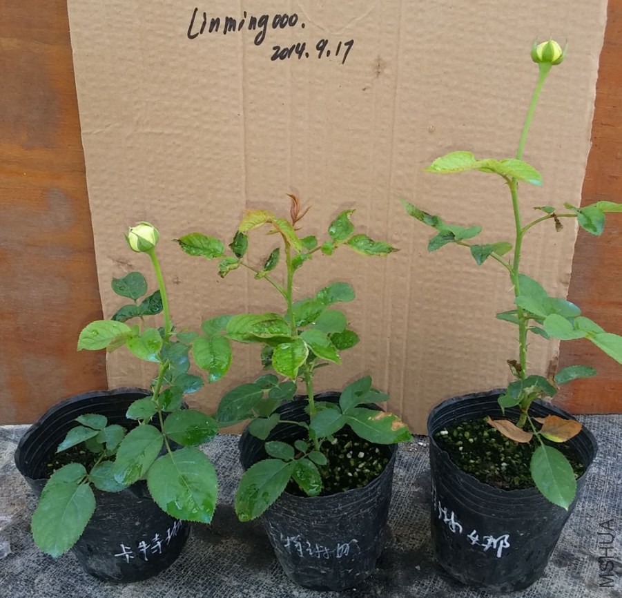 20140917_101555.jpg