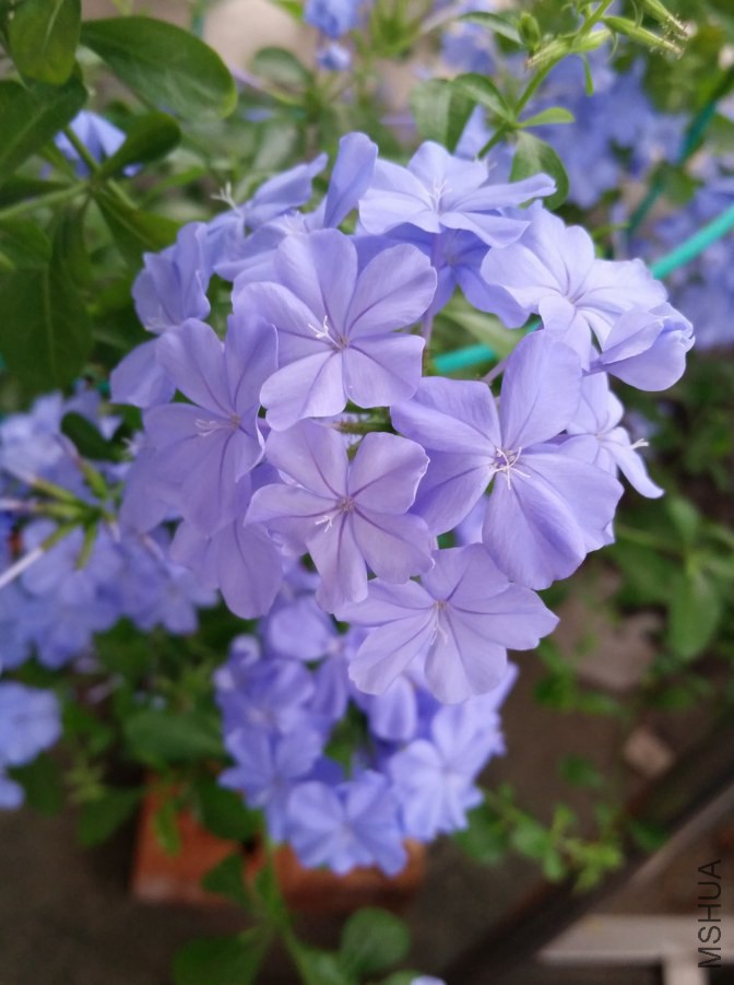 20140911_070811.jpg