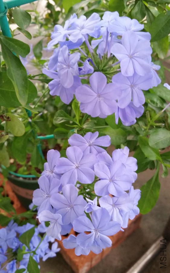 20140911_070820.jpg