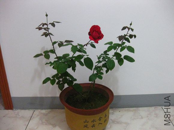 ��Ƭ 072_����.jpg