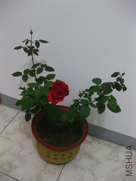 ��Ƭ 075_����.jpg