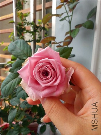 QQͼƬ20140915093245.jpg