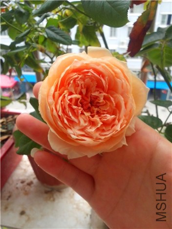 QQͼƬ20140915093413.jpg