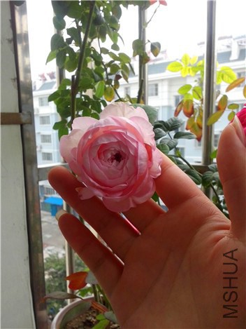 �ҵ���
