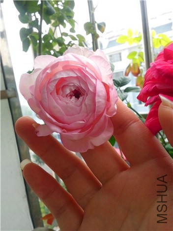 �ҵ���
