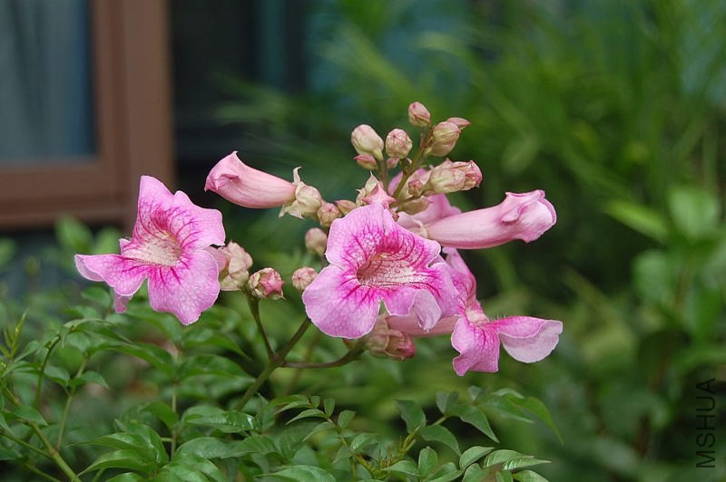 DSC_00240024.JPG