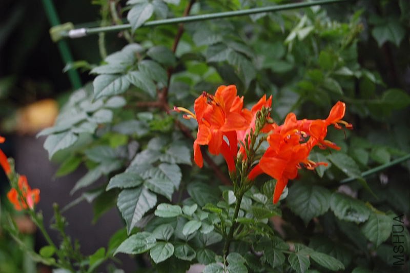 DSC_00220022.JPG