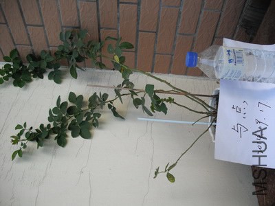 ������ʦ�����״��裩.JPG
