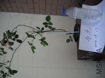 ���ģ�1��.JPG