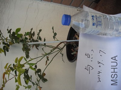 ���ģ�2��.JPG