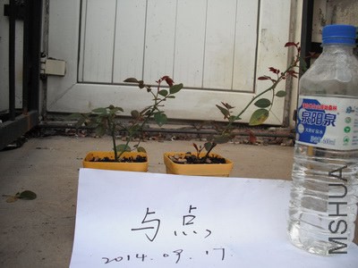 ޹�²�2��.JPG